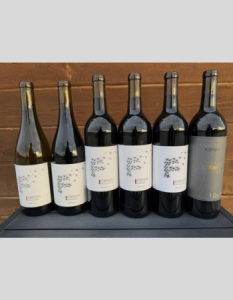 Showstopper Six Pack - Berserker Showstopper Six Pack - Berserker